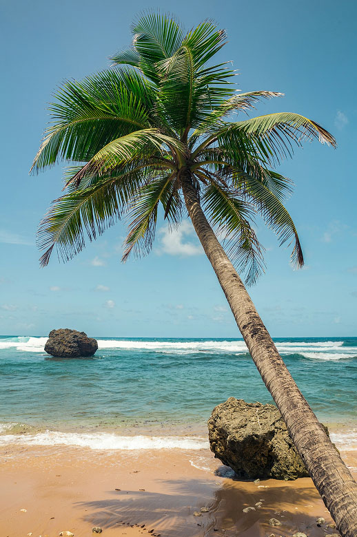 island-tour-destination-2